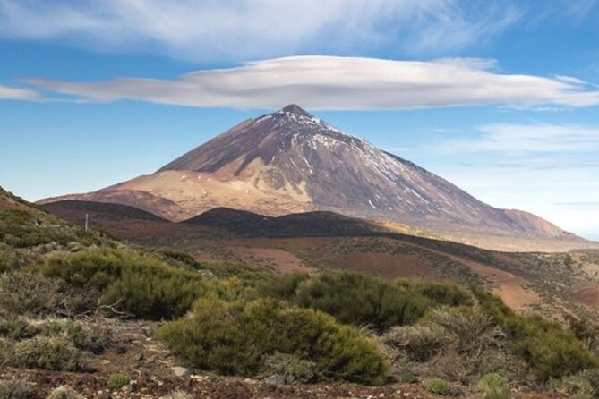 Guided Tour to Teide National Park in Tenerife - Vilaflor Stop: Coffee in Spain’s Highest Municipality