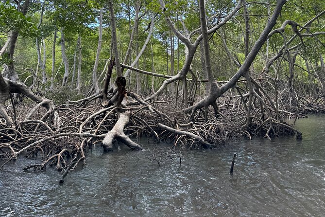 Haitian National Park and fell up - Key things to know before you go