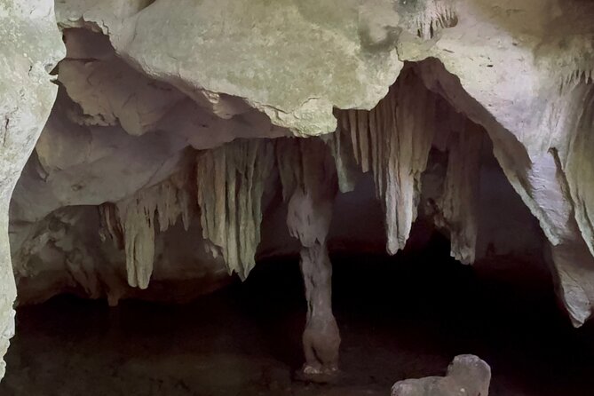 Haitian National Park and fell up - A 7-hour Samaná combo: park first, beach second