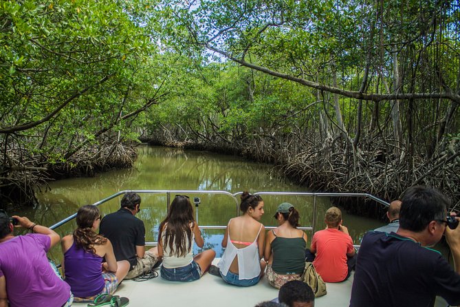 Haitises National Park with Paraiso Caño Hondo & Montaña Redonda - The Value: $155 for a Full-Day Park and Cave Combo