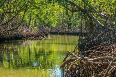 Haitises National Park with Paraiso Caño Hondo & Montaña Redonda - Hotel Pickup From Punta Cana: Start Early, Expect a Big Day