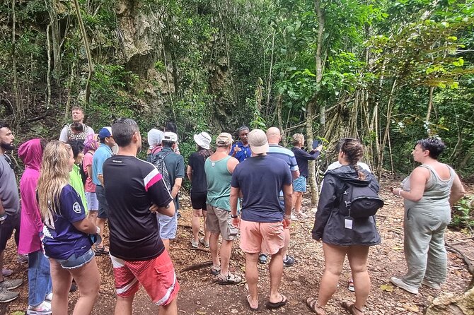 Haitises National Park with Paraiso Caño Hondo & Montaña Redonda - Los Haitises National Park by Riverboat: Mangroves, Caves, and a Guide’s Pace