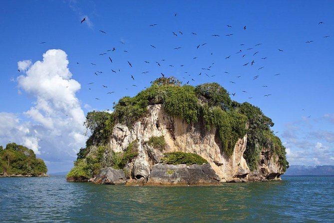 Haitises National Park with Paraiso Caño Hondo & Montaña Redonda - Paraíso Caño Hondo Lunch: Where the Day Finally Slows Down