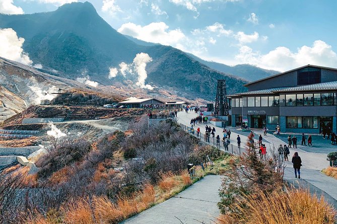 Hakone Private One Day Tour From Tokyo: Mt Fuji, Lake Ashi, Hakone National Park - From Shinjuku at 7:30 AM: a private day trip that actually runs on time