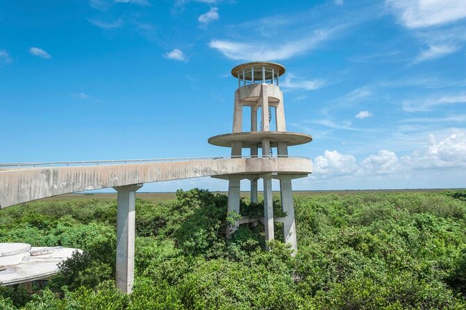 Half-day Everglades National Park Tour and 1-Hour Air Boat Ride - Key things I’d zero in on