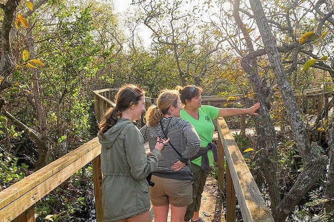 Half-day Everglades National Park Tour and 1-Hour Air Boat Ride - What Comes Included (and What You Should Bring Anyway)