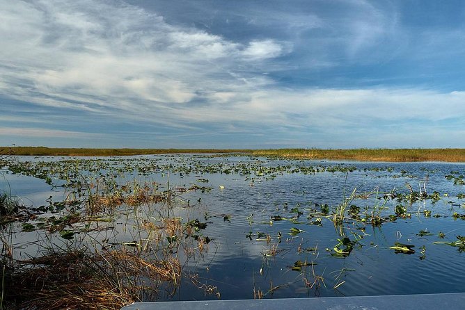 Half-day Everglades National Park Tour and 1-Hour Air Boat Ride - Group Size and Guide Style: Why the Human Factor Is the Difference