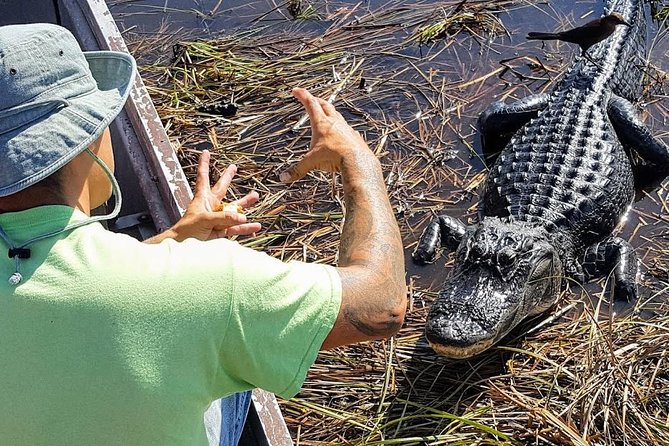 Half-day Everglades National Park Tour and 1-Hour Air Boat Ride - Price and Value: Why $189 Can Make Sense
