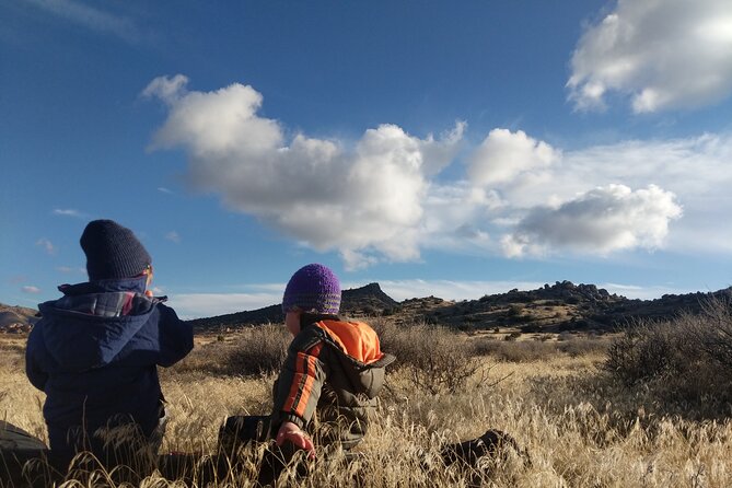 Half-Day Guided Hike in Joshua Tree National Park - What you learn in Joshua Tree: plants, animals, geology, and culture