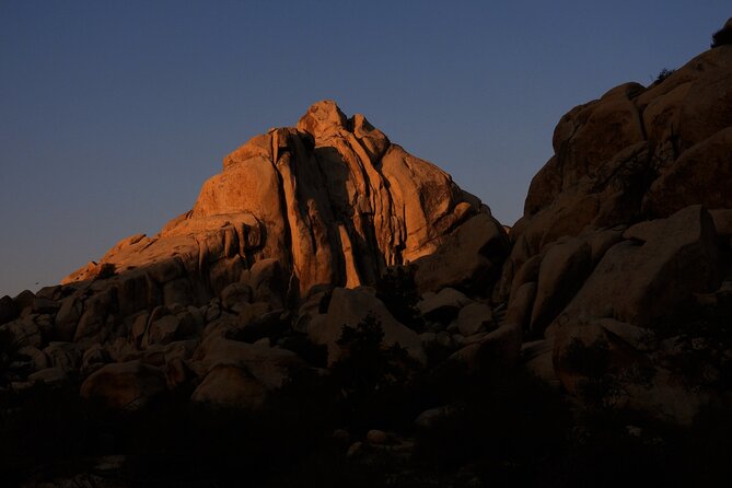 Half-Day Guided Hike in Joshua Tree National Park - Price and value: $335 plus the entrance fee, for a private guided route
