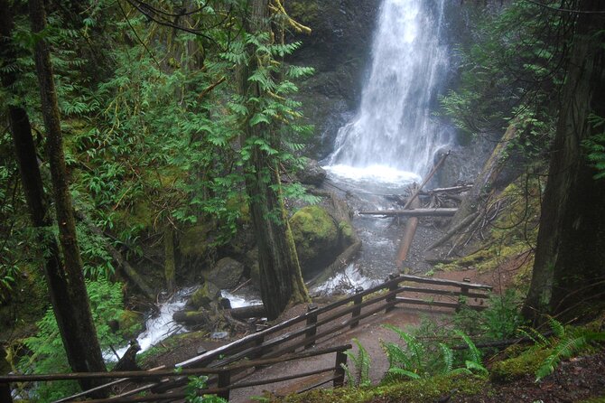 Half Day Guided Tour of Olympic National Park - Lake Crescent Lodge: A Historic Break With Real Scenic Value