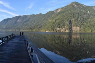 Half Day Guided Tour of Olympic National Park - Marymere Falls: The 90-Foot Payoff Hike You Actually Remember