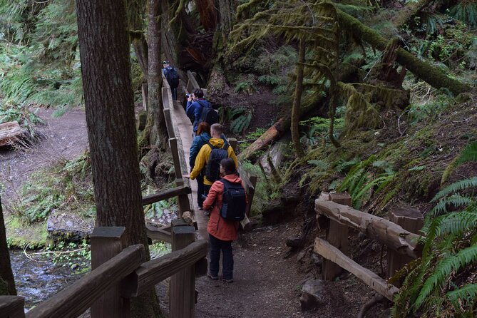 Half Day Guided Tour of Olympic National Park - Who Should Book This Olympic Tour (and Who Might Skip It)