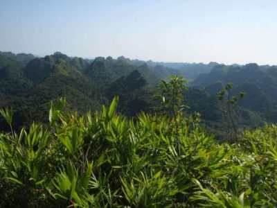 Half Day Hiking to Cat Ba National Park with a Guide - The 4-hour flow: stops in a logical order