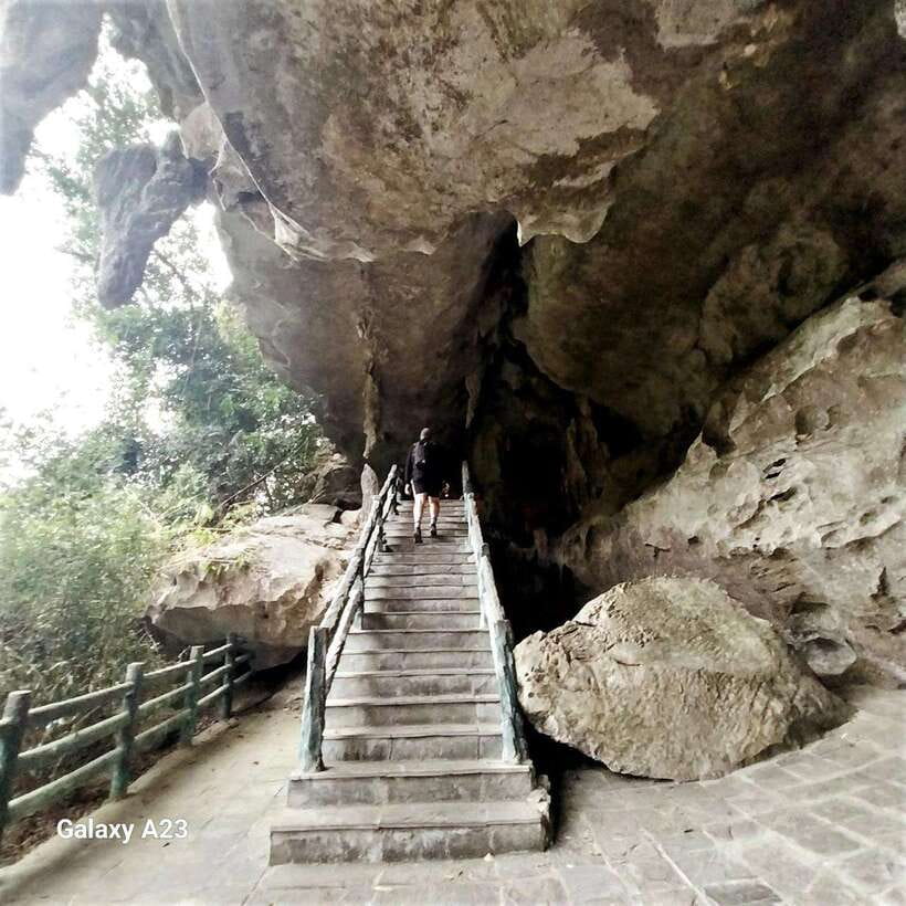 Half Day Hiking to Cat Ba National Park with a Guide - Transportation and pacing: the “half day” part that works