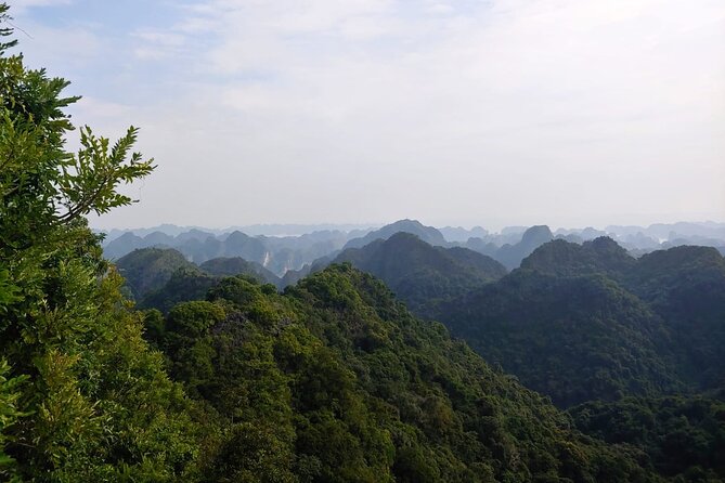 Half Day Hiking to Discover Cat Ba National Park with a Guide - Key Highlights You’ll Notice Right Away