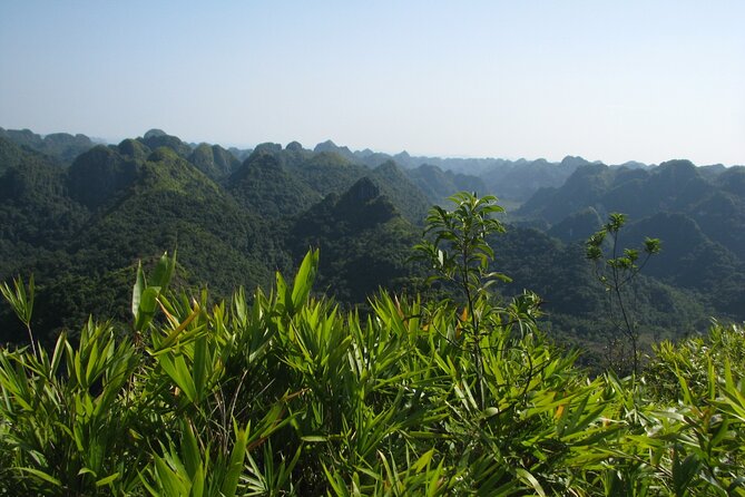 Half Day Hiking to Discover Cat Ba National Park with a Guide - First Steps: Getting Into Cat Ba’s Jungle Rhythm