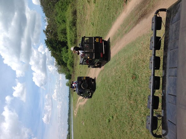 Half Day - Minneriya National Park Safari Tour From Habarana/Sigiriya - How to get better elephant viewing during the ride