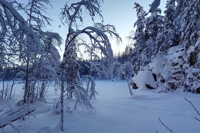 Half-Day Nature Adventure to Nuuksio National Park from Helsinki - Key things I’d clock before you go