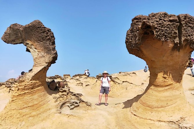 Half Day Private Tour to Yangmingshan National Park and Yehliu Geopark - Yehliu Geopark: Queen’s Head and the sea-carved coast