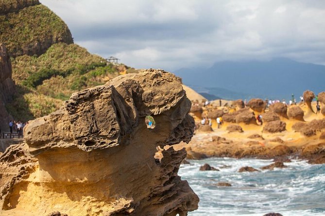 Half Day Private Tour to Yangmingshan National Park and Yehliu Geopark - Yangmingshan National Park: cooler air and possible macaques