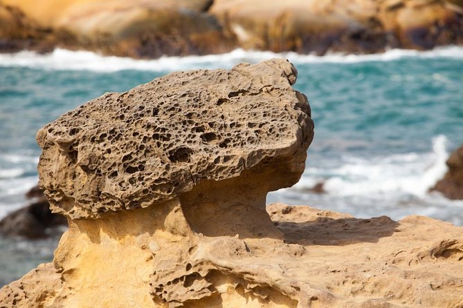 Half Day Private Tour to Yangmingshan National Park and Yehliu Geopark - Your guide and driver: the difference between seeing and understanding