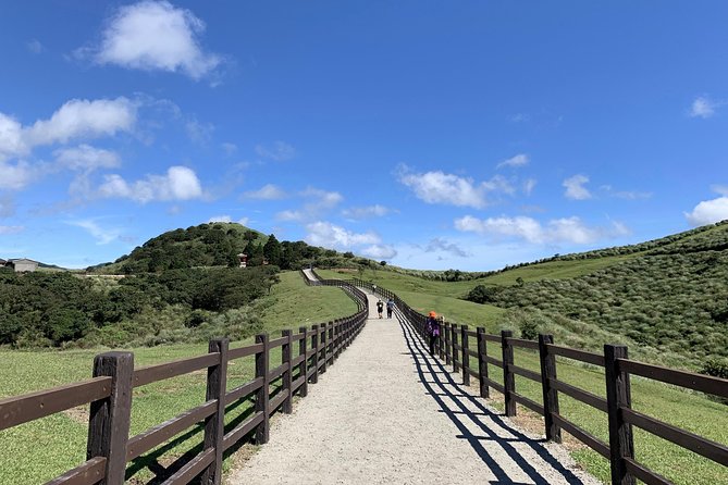 Half Day Private Tour to Yangmingshan National Park and Yehliu Geopark - Should you book this private half-day tour to Yehliu and Yangmingshan?