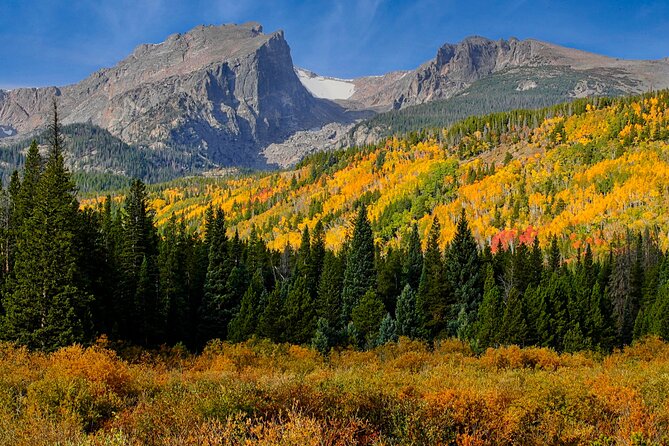Half-Day Rocky Mountain National Park "Mountains to Sky Tour" - RMNPhotographer - Key takeaways before you go