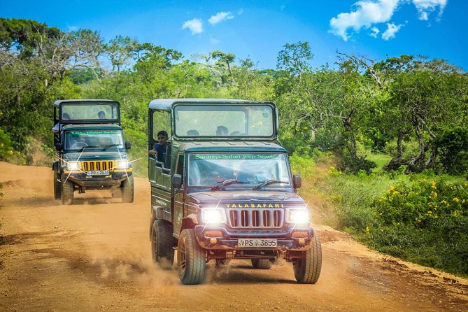 Half Day Safari at Yala National Park with Lunch - Who should book this half-day Yala safari from Galle?