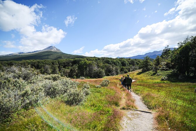 Half-Day Tierra del Fuego National Park with Lunch and Drinks - Ushuaia Pickup at 8:00 AM: The Easiest Way to Start