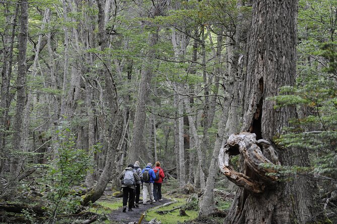 Half-Day Tierra del Fuego National Park with Lunch and Drinks - The Weather Reality in Ushuaia: Plan for Wind, Rain, and Fast Changes
