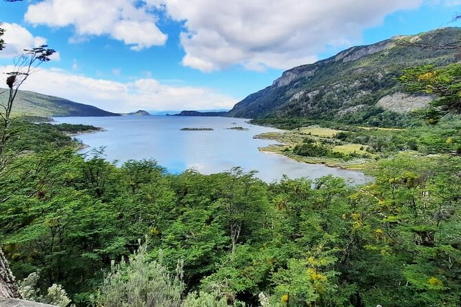 Half-Day Tierra del Fuego National Park with Train - Tierra del Fuego in 5 hours: what this tour gets right