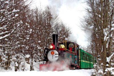 Half-Day Tierra del Fuego National Park with Train - Southern Fuegian Railway: the steam train and the 7 km route