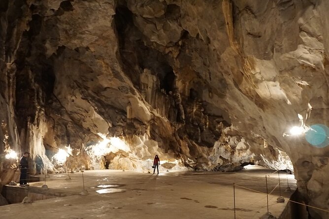 Half Day Trekking Cat Ba National Park - Price and value: what $38 is really buying you