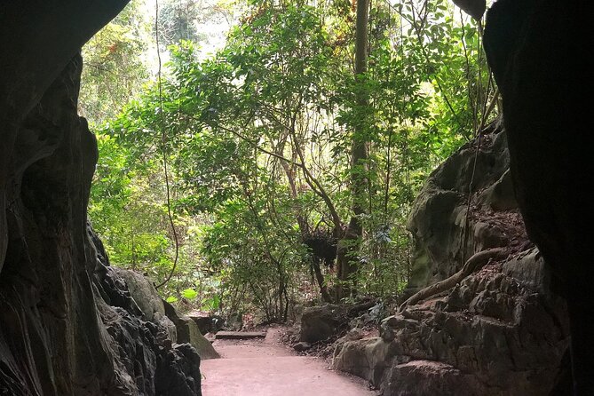 Half Day Trekking Cat Ba National Park - Who should book this trek, and who should skip it