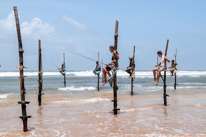 Half Day trip in Yala National Park - How long is enough? (4 to 12 hours, but plan around the park time)