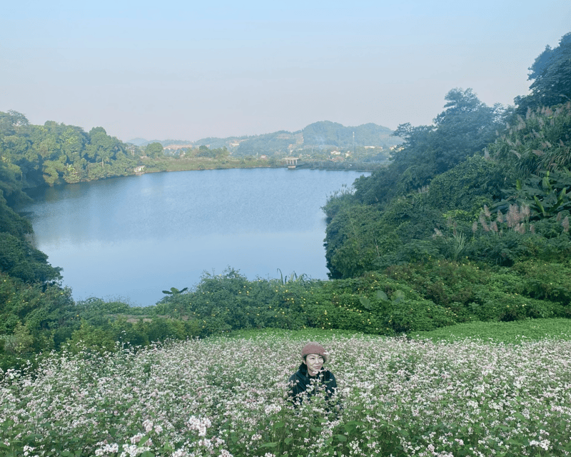 Hanoi Eco Tour: Ba Vi National Park Wonders & Tea Plantation - Price and Value: What $80 Covers (and What It Doesn’t)