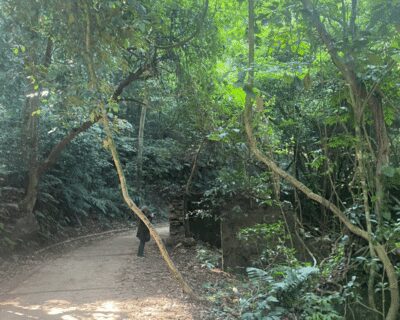 Hanoi Eco Tour: Ba Vi National Park Wonders & Tea Plantation - Getting from Hanoi: Pickup That Keeps the Day on Track