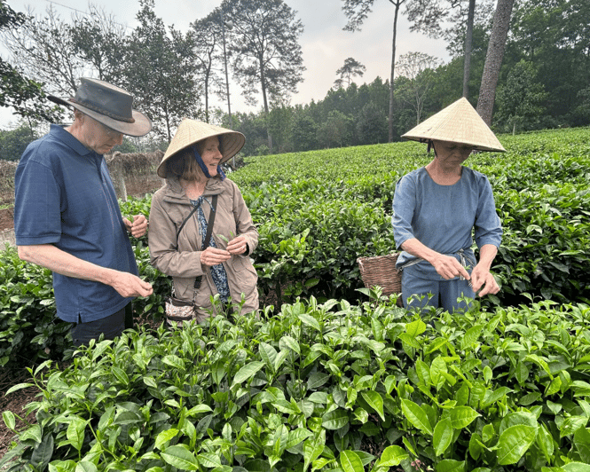 Hanoi Eco Tour: Ba Vi National Park Wonders & Tea Plantation - French Prison Ruins: When History Feels Reclaimed