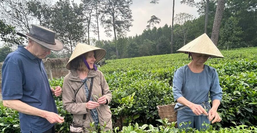 Hanoi Eco Tour: Ba Vi National Park Wonders & Tea Plantation - Đền Thượng Temple: Spiritual Views Above the Clouds