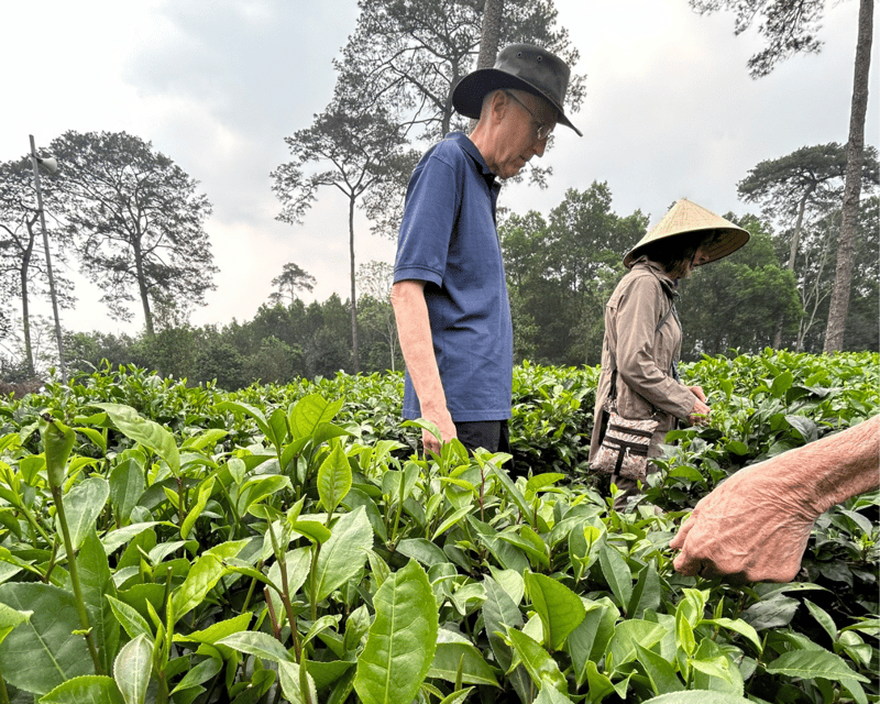 Hanoi Eco Tour: Ba Vi National Park Wonders & Tea Plantation - Wildlife and Countryside Pace: What the Day Feels Like