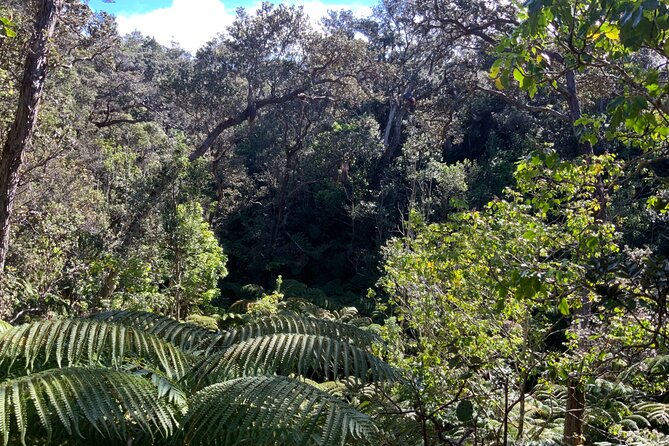 Hawai'i's Volcanoes National Park from Hilo Only - What This Day Feels Like in Real Life: Pace, Stops, and Your Expectations