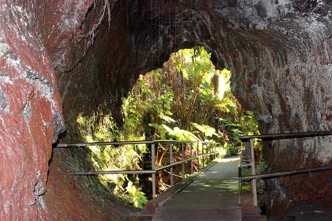 Hawaii Volcanoes National Park and Hilo Highlights Small Group Tour - Thurston Lava Tube Walk: Rainforest Cooler and Wilder Than You Think