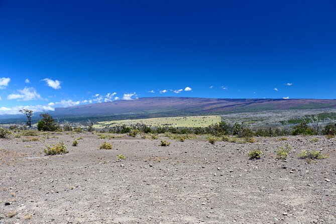 Hawaii Volcanoes National Park and Hilo Highlights Small Group Tour - Chain of Craters Road: The Black Rock That Teaches You How the Island Works