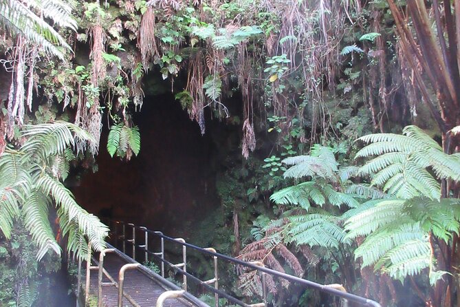 Hawaii Volcanoes National Park Experience Departing From Maui - Manuka State Wayside Park: the quieter forest break you will feel