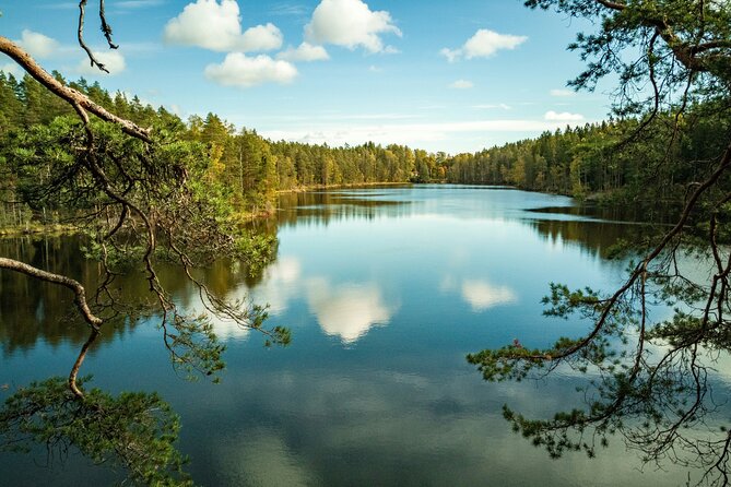 Helsinki: Nuuksio National park hiking with campfire lunch - Key reasons this hike works so well