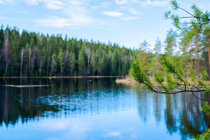 Helsinki: Nuuksio National park hiking with campfire lunch - The value of Nuuksio when you only have half a day