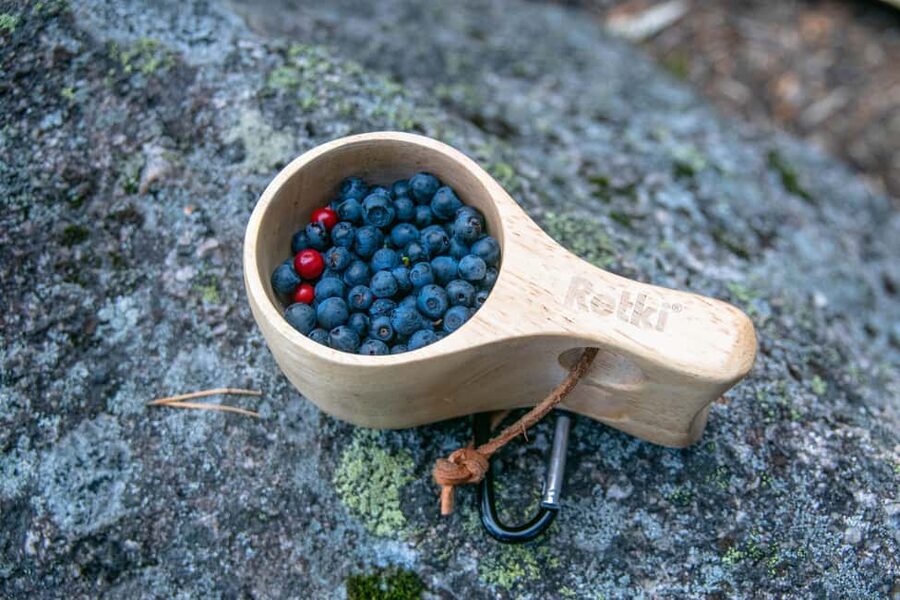 Helsinki: Nuuksio National park hiking with campfire lunch - Who this tour fits best (and who should skip it)