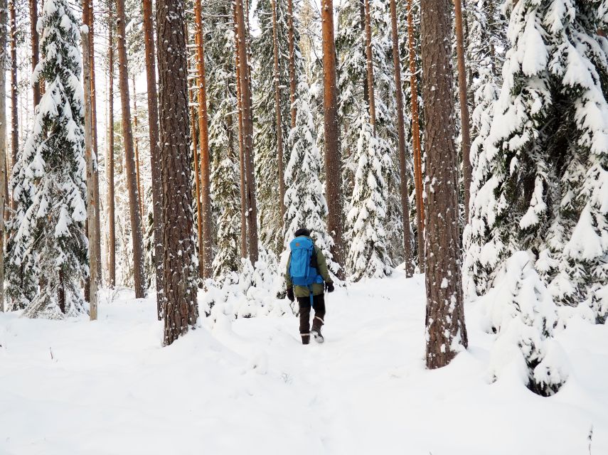 Helsinki: Winter Wonderland Liesjärvi National Park Hike - The heated wilderness hut and Finnish campfire lunch (where the day really clicks)
