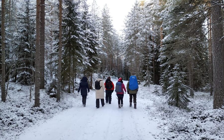 Helsinki: Winter Wonderland Liesjärvi National Park Hike - What to bring (and what you can relax about)